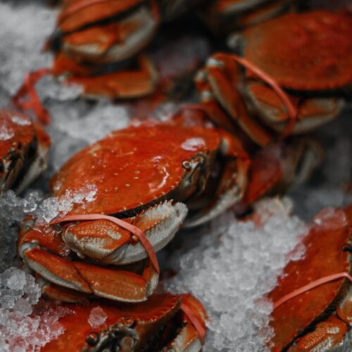 Crab and Related Products