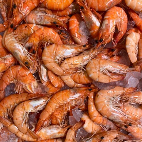 Prawn