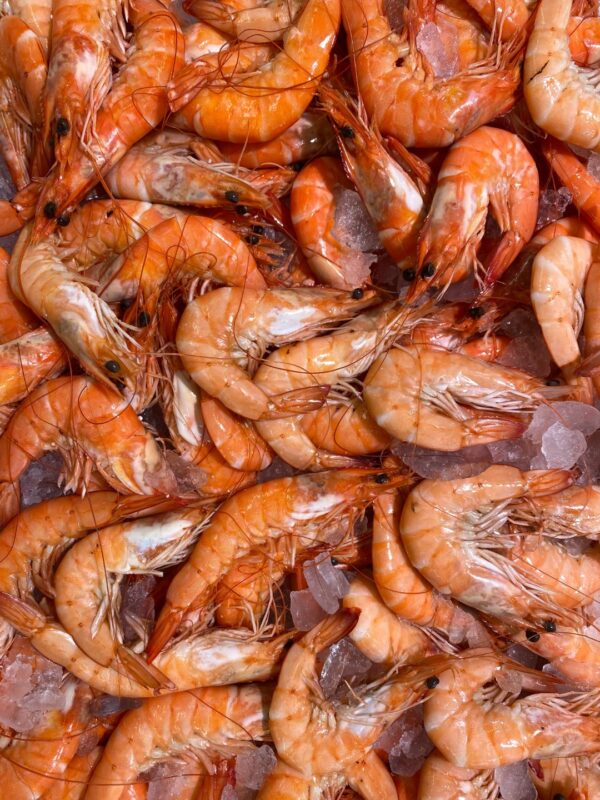 prawn Prawn