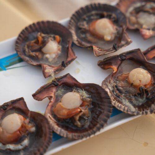 Scallop, Squid & Shell-fish